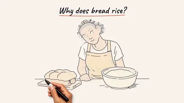 Una lección en pizarra dibujada a mano: un panadero con un bol de masa bajo el título «Why does bread rise?»